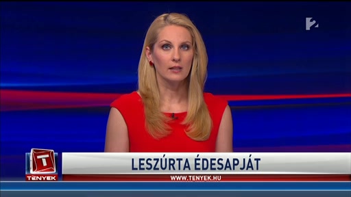 Vitanyi Judit Apja